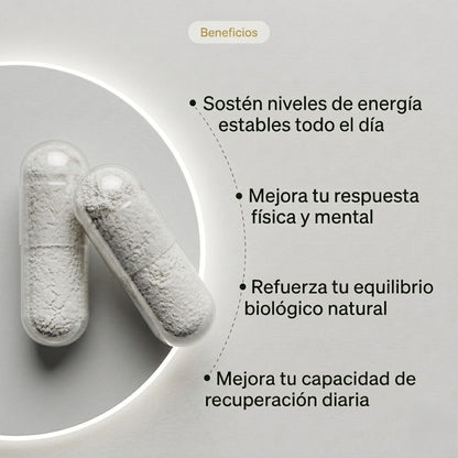 Glumi NAD+: optimiza tu rendimiento mental y físico