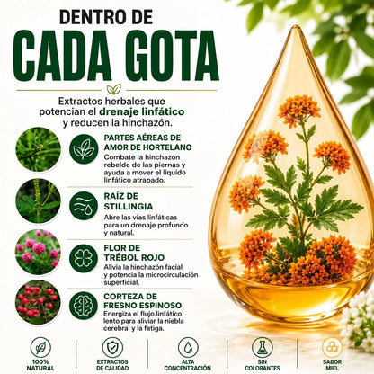 Gotas herbales de drenaje linfático para reducir la hinchazón y la pesadez